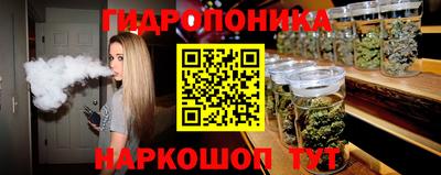 прущие крисы Лесосибирск