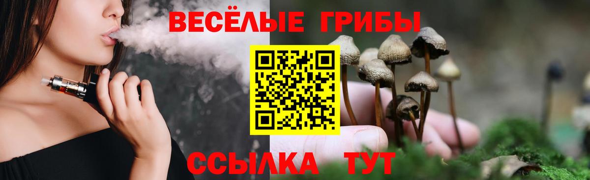 Тимашёвск  Галлюциногенные грибы Psilocybine cubensis  Вход с VPN 